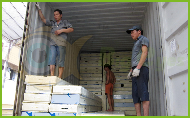 Insulated Panel loading Container